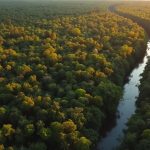 How to Explore the Amazon Responsibly: 2026 Green Travel Guide