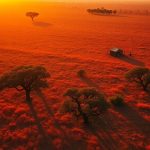 Top 5 Zero-Waste Safari Destinations Thriving in 2026
